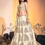 Embellished Lehenga Choli Set with Dupatta