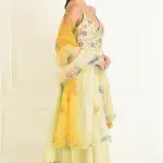 Buy Aastha Jain Sequins Embellished Anarkali Set For Women Available online at ScrollnShops Yellow / 3XL