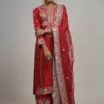 Bhumika Vaid Golconda Amaya Palazzo Set