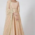 Aastha Jain Ash Rose Embroidered Anarkali Set for Women at Lovel