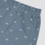 USPA Innerwear All Over Print OELP2 Lounge Track Pants - Pack Of 1, Blue (32)