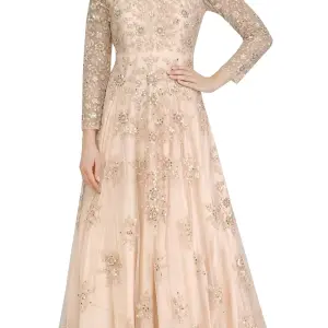 Aastha Jain Powder Blue Embroidered Flared Gown for Women at Lovel