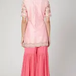 Buy Aastha Jain Embroidered Sharara Set For Women Available online at Scrollnshops S / Pink